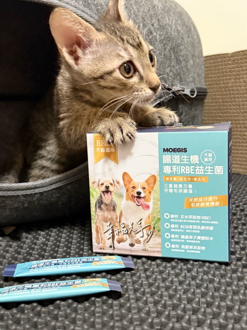 女人知己試用大隊,口碑行銷,部落客行銷,Moegis萌吉 腸道生機專利RBE益生菌,寵物益生菌,專利RBE益生元,專利蔬果酵素,小分子胜肽,藍藻粉,維持免疫力,幫助維持消化道機能,維持正常食慾,改變細菌叢生態,腸胃保健,犬貓適用